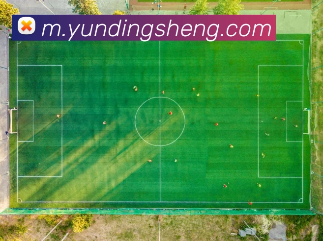 云顶国际APP 体育赛事宣传图